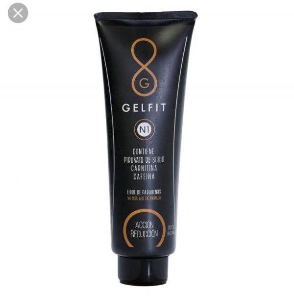 GELFIT